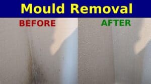 Mould Remover Removal