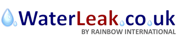 Water Leak logo clear capitals