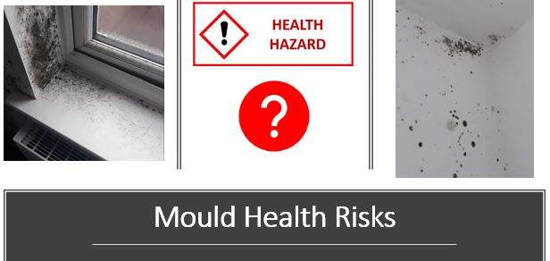 Mould or Mold Health Risks