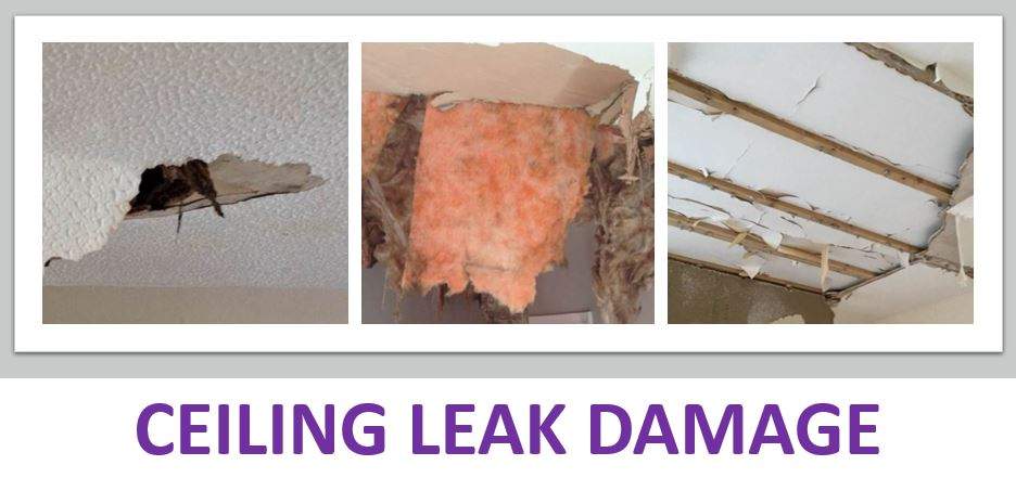 Ceiling Leak Damage