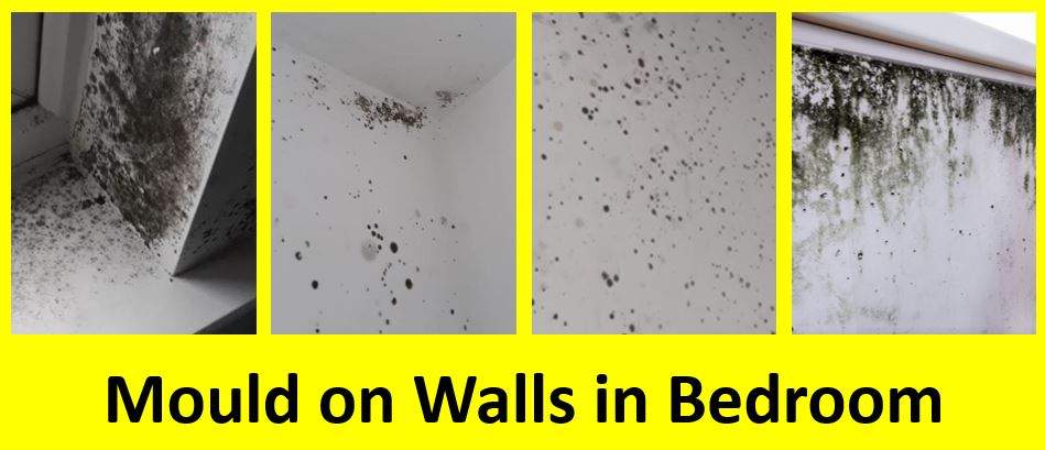 Mould on Walls Bedroom