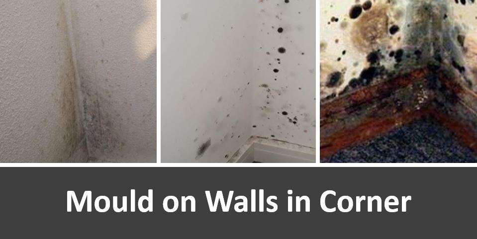 Mould on Walls Corner