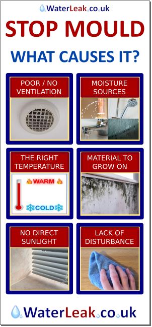 Poor Ventilation and Mold Growth