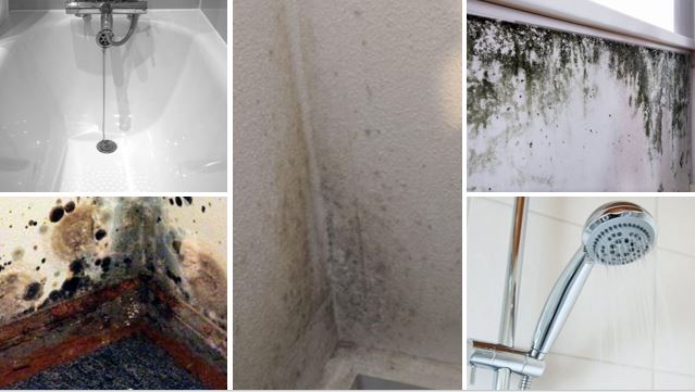 mould on walls