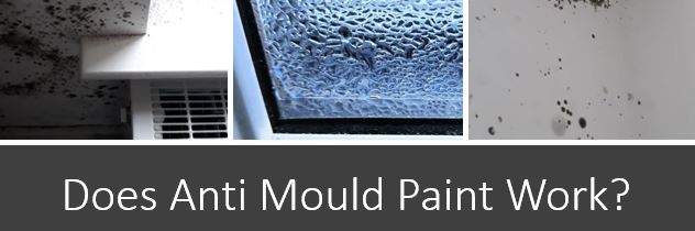 Anti Mould Paint & Anti Condensation Paint - Great Solution?