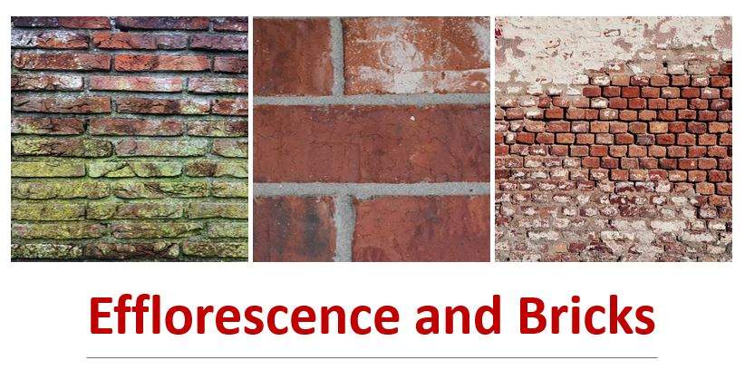 Efflorescence and Bricks