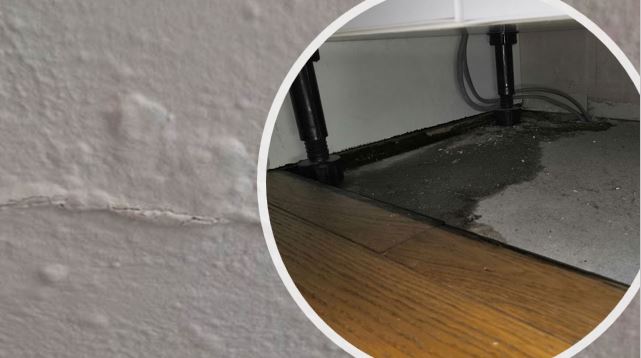 Penetrating Damp - Possible Signs
