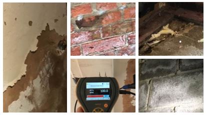 Penetrating Damp on Walls