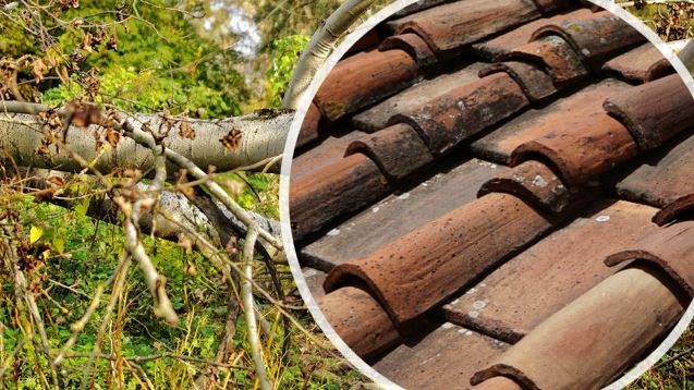 Storm Damage Roof Leak