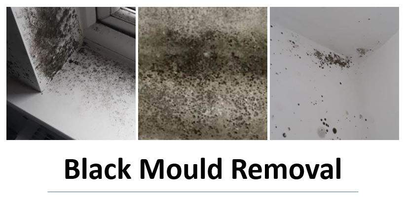 Black Mould Removal