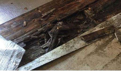 Floor Damage - Damp and Rot