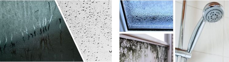 Types of Damp - Condensation and Water Leak