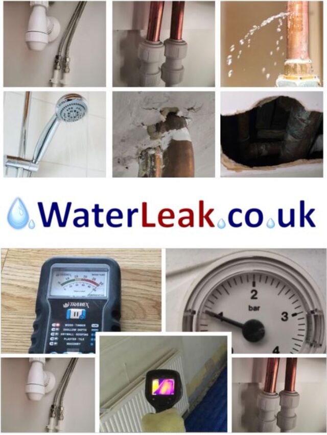 Water Leak Detection – Signs of a Leak