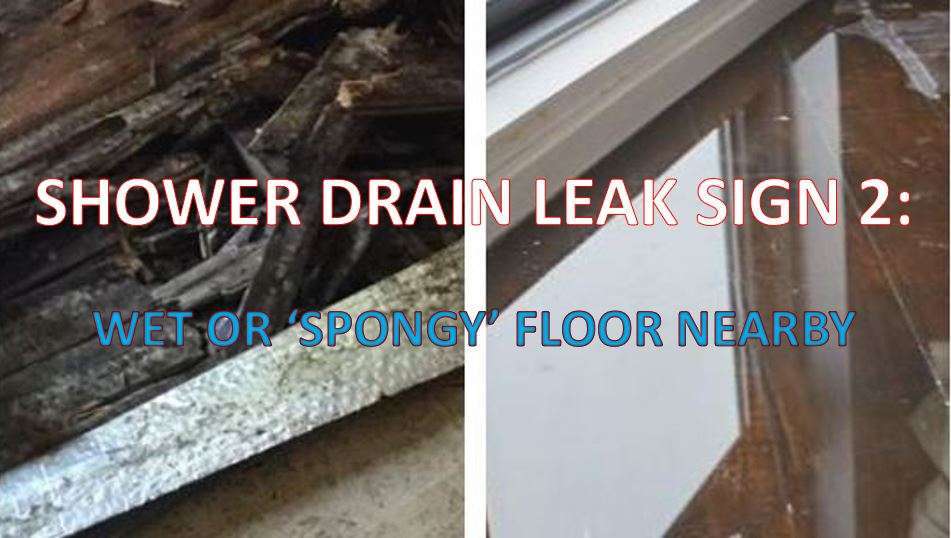 Shower Drain Leak Floor