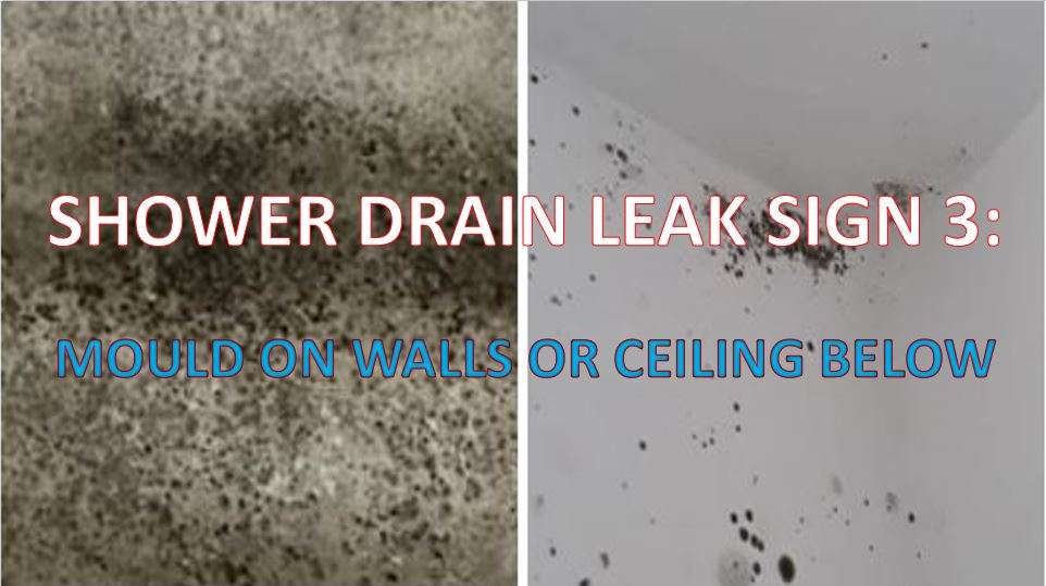 Shower Drain Leaking Mould