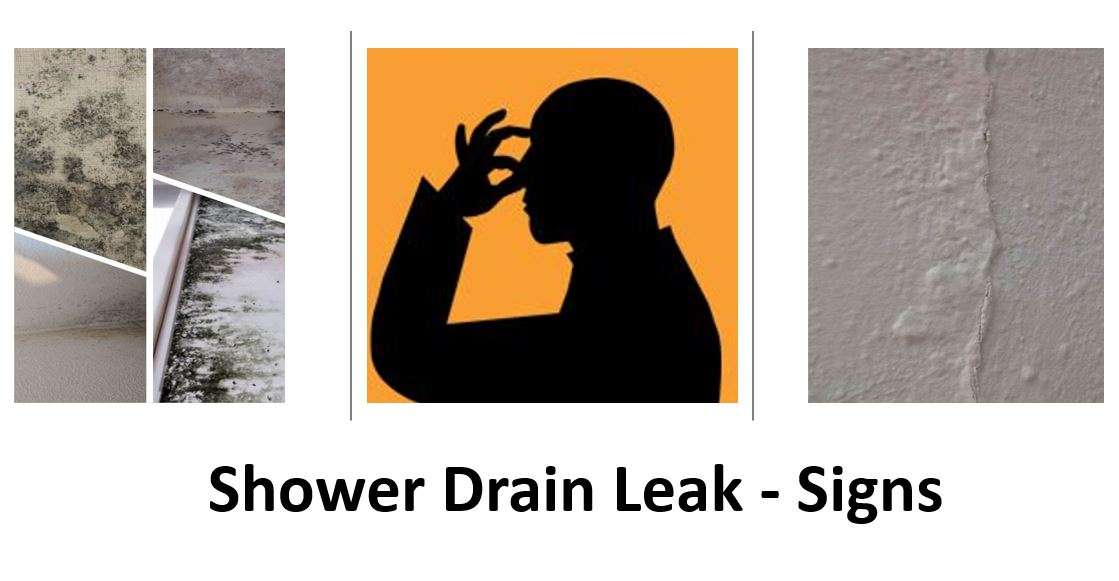 Shower Drain Leak Signs