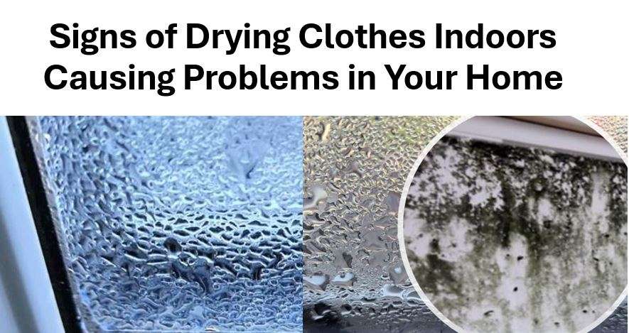 Signs of Drying Clothes Indoors Causing Problems